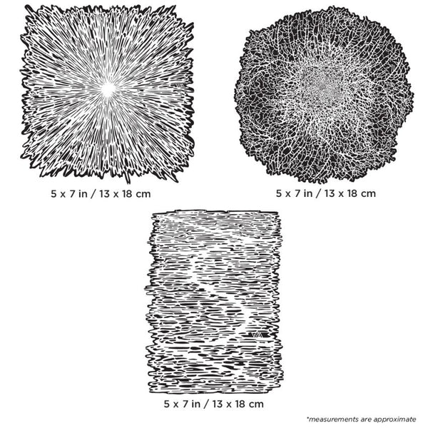 Texture FX 2 FHTFX2 MS