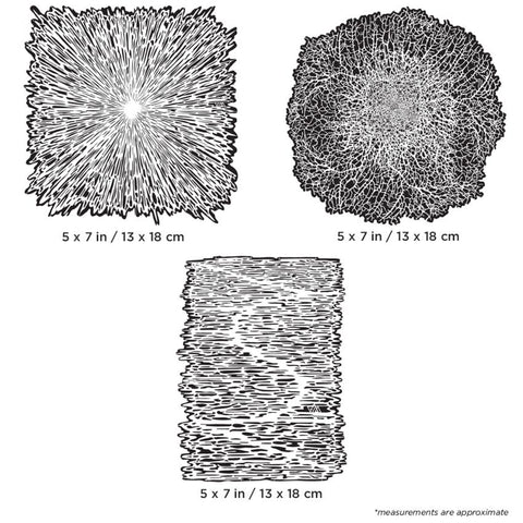 Texture FX 2 FHTFX2 MS